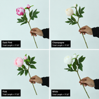 Realistic silk peony stem with buds and flexible long stem