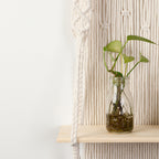Macramé Wall Shelf with Integrated Plant Holder