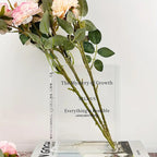 Slim Acrylic Standing Display Vase For Single-Stem Arrangements And Narrow Ledge