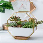 Simple octagonal geometric wall-mounted table succulent plate bamboo support iron frame flower pot (Gold)