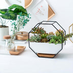 Simple octagonal geometric wall-mounted table succulent plate bamboo support iron frame flower pot (Gold)